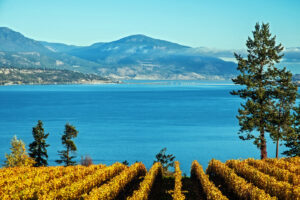 20 Top Boating Destinations in the Okanagan