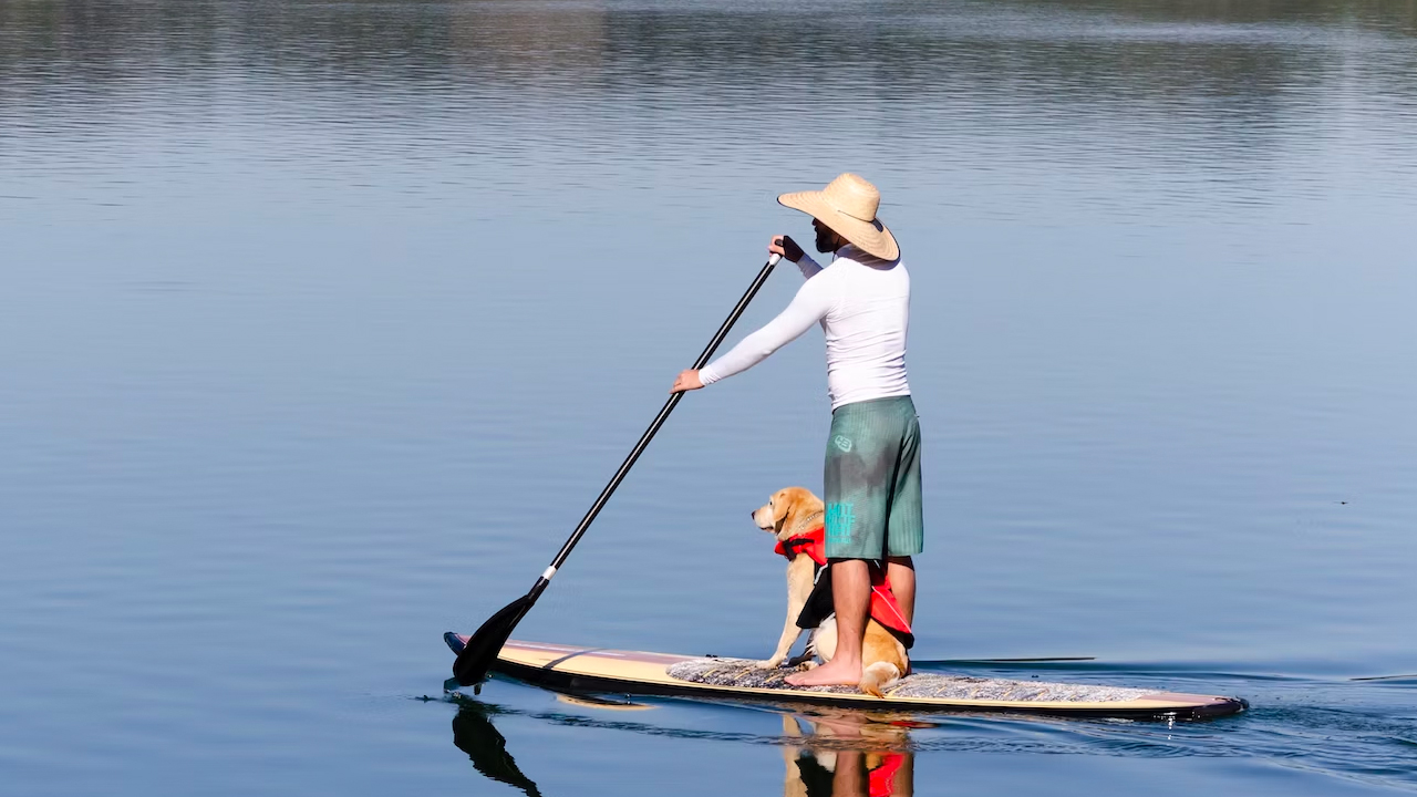 Ultimate Stand Up Paddle Board Guide: Mastering SUP & More!